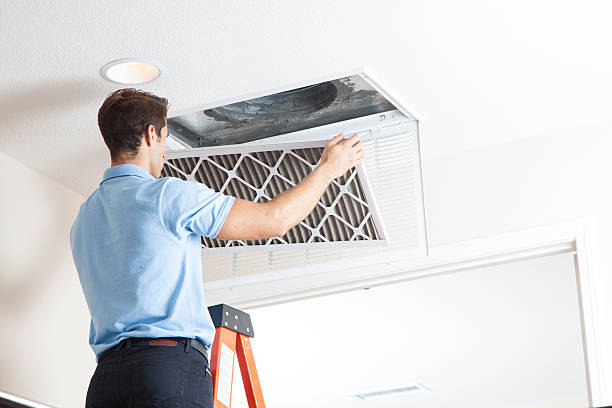 Best HVAC air duct cleaning  in Wyoming, IL